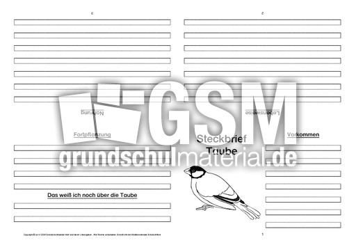 Taube-Faltbuch-vierseitig.pdf